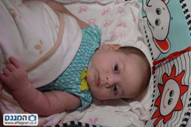 תמונה גדולה